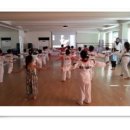 미르태권도 아카데미 이미지