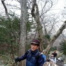 아니벌써 팔순 이미지