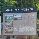 한반도;한반도펜션 | 영월여행 1일차 - 선암마을 한반도 뗏목마을 뗏목체험 후기와 한반도 지형 전망대 후기