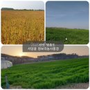 창리정미소 이미지