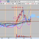 금양메디칼 이미지