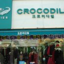 크로커다일 대리점 이미지