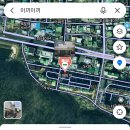 이끼이끼 이미지