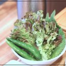 명품횡성한우고집 | 횡성한우 고집하는 명품횡성한우고집에서 신선한 1등급 한우의 진짜 맛을 경험해 보세요!