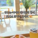 경상남도농업기술원 | 강아지 동반 가능한 진주 초전동 카페 타타스베이글 강아지O 아기O