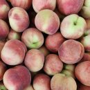 우리경봉환경 이미지