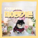 마이펫가든 이미지