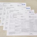 꼬똥사파이어 이미지