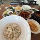 쭈꾸미 먹는날 | 고양시맛집 | 덕양구 한식맛집 송화, 산채보리밥과 쭈꾸미볶음 제대로 하는 집