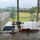 애월 별스테이 | 제주도 애월 숙소 10만원대 감성 가득한 조식 맛집 스테이어라이브 stay alive