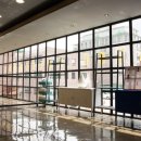 애견부티크 이미지