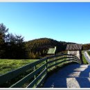 황금빛 목장 이미지