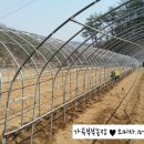 가곡농장 이미지