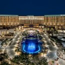 파라다이스 이미지