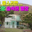 숲속의바다 숲속동 이미지