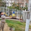 자연숲어린이집 이미지