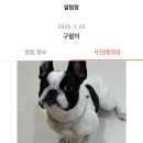 서울댕입구 이미지