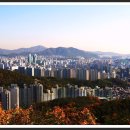 전*경