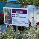 의흥119안전센터 화장실 | [충북/축제]제천국제한방 천연물 산업 엑스포, 볼거 할거 먹을거 많은 한방엑스포(상세후기)