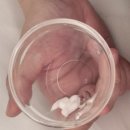 프롬쿠키(FROM COOKIE) | [여의도 피부관리] 프롬미 재방문 + 내돈내산 앰플 구입 후기 #재생관리