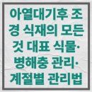 (주)상록조경 | 아열대기후 조경 식재의 모든 것 대표 식물·병해충 관리·계절별 관리법