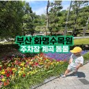 오작교작은도서관 | 부산 화명수목원 주차장 계곡 동물