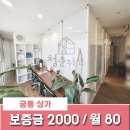 궁동행복한공인중개사사무소 | 충남대 정문 앞 면적 대비 저렴하게 잘 나온 대전 신 궁동 무권리 상가 임대