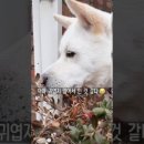 진솔건강원 - 옥천군 지전길 24 | 진솔건강원