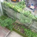 삼영 농장 이미지