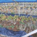 장마루보건진료소 이미지