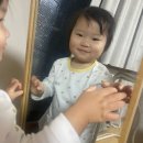 현대오솔경로당 | 1/12