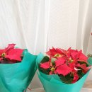 도로시미술학원 이미지