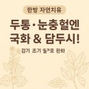 국화(菊花) &amp; 담두시(淡豆豉) 효능 총정리 감기 초기 두통, 열감, 눈 충혈, 해열·해독에 좋은 전통 한약재 이미지