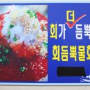 회신물회 이미지