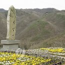 칠갑산 도림온천 이미지