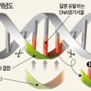 마술가위