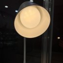 카페 뮬(CAFE MULE) 보문점