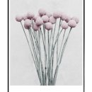 더모먼트플라워 이미지