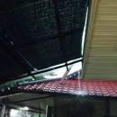 합수모래유원지 이미지