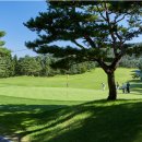 이포골프장 이미지