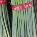 신선청과야채 이미지