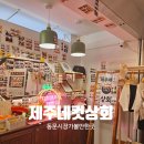 제주 동문시장 가볼 만한 곳 제주네컷상회 할머니와 인생네컷 찍은 후기