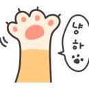 INY 네일 & 뷰티