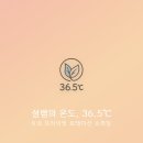 대구 로테이션 소개팅 설렘의온도 태블릿으로 프라이빗하게 즐기는 특별한 만남 후기