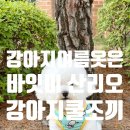 쿨&미 피부미인 | 바잇미 산리오 강아지쿨조끼로 준비한 퐁이의 시원한 강아지여름옷 착용 후기