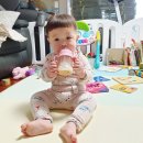 쌍용서비스프라자(송산코너) | 의정부 민락동 송산푸르지오 30평형대 프리미엄 미세방충망 패키지 교체 시공