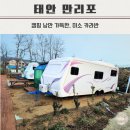 만리포미소카라반 | 만리포 해수욕장 캠핑감성 숙소 태안 일몰맛집 미소카라반 후기