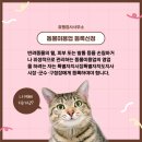 동물미용업 영업등록신청 이미지