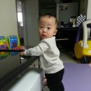 + 294~299 문화센터 등록 + 붕붕카가 좋아요