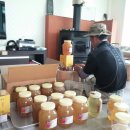 양심농장 이미지